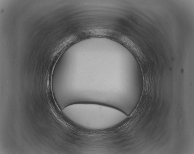 X0000087580398200704271050