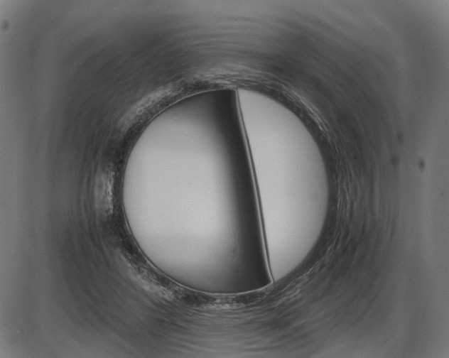 X0000087580404200704271050