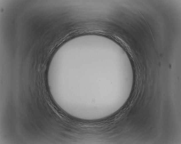 X0000087580405200704271050