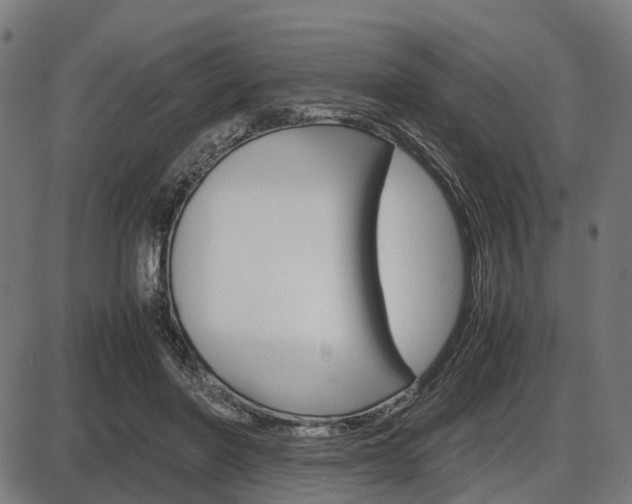 X0000087580406200704271050