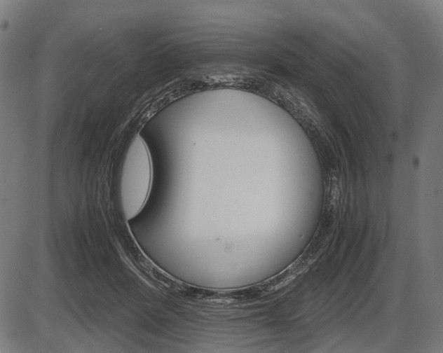 X0000087580408200704271050