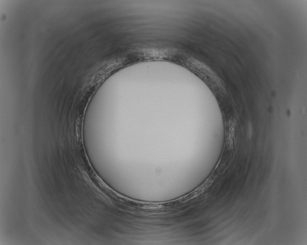 X0000087580410200704271050
