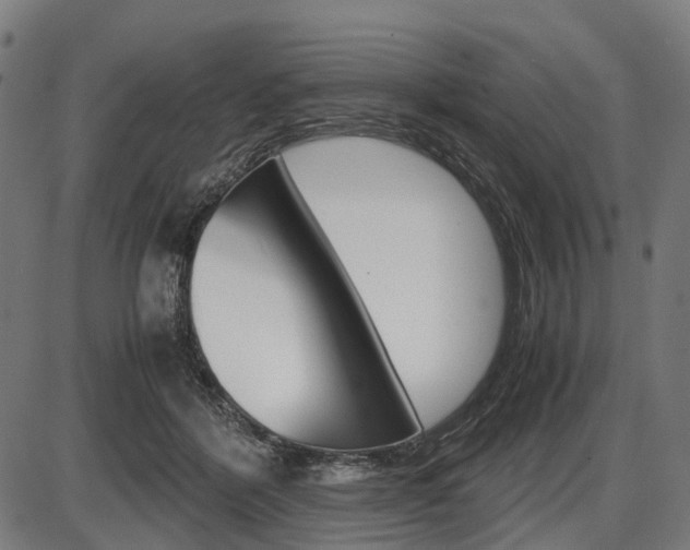 X0000087580412200704271050