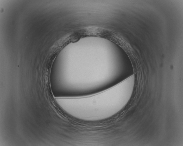 X0000087580413200704271050