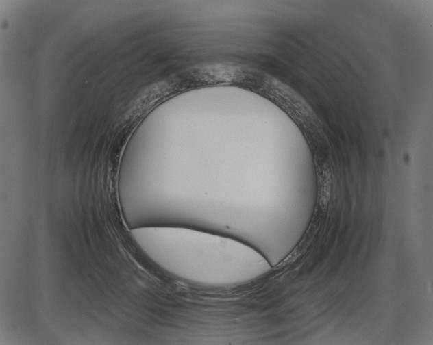 X0000087580414200704271050