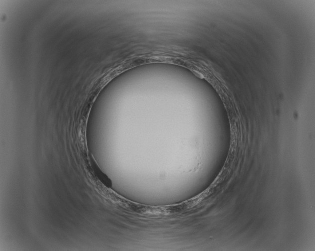 X0000087580415200704271050