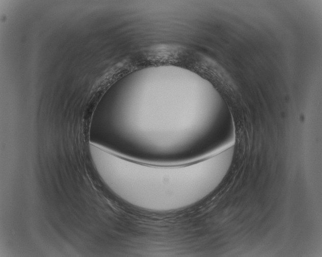 X0000087580416200704271050
