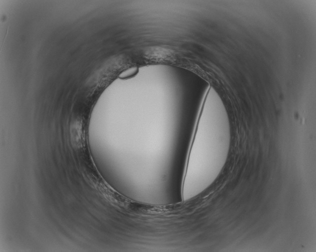 X0000087580420200704271050