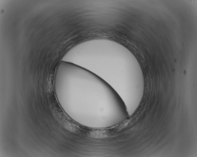 X0000087580422200704271050