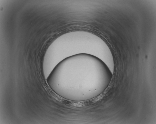 X0000087580423200704271050