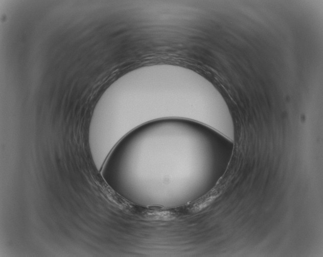 X0000087580428200704271050
