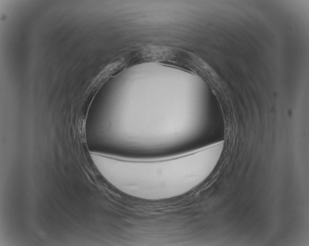 X0000087580429200704271050