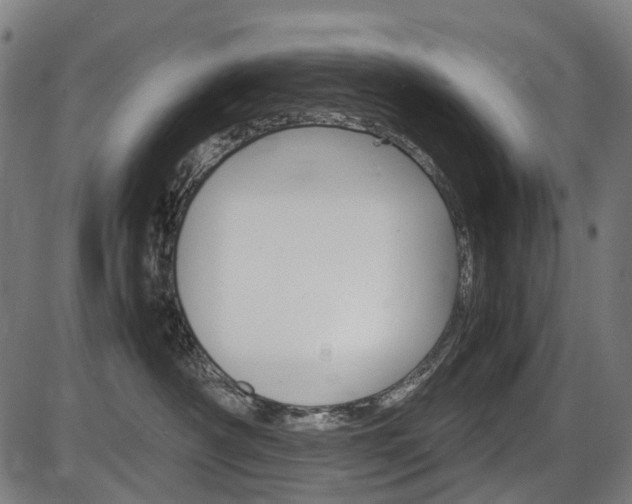 X0000087580430200704271050