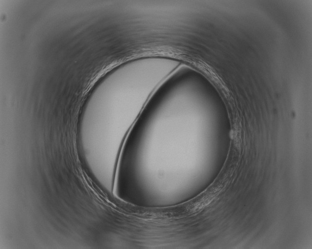 X0000087580434200704271049