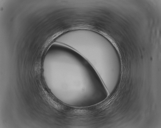 X0000087580437200704271049