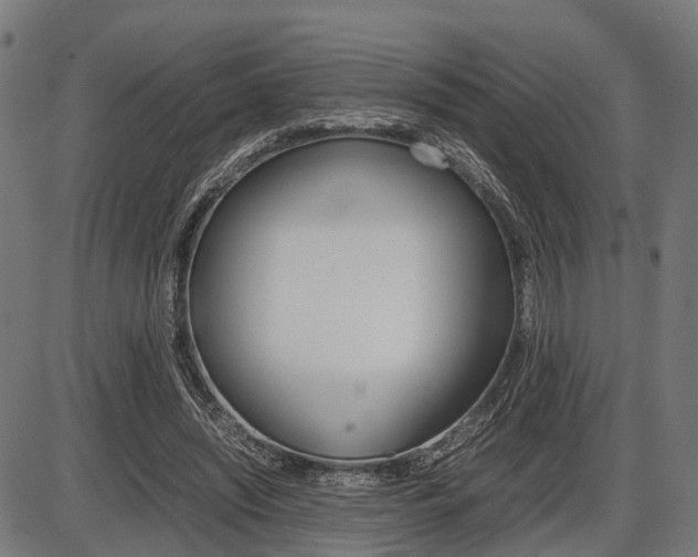X0000087580444200704271049