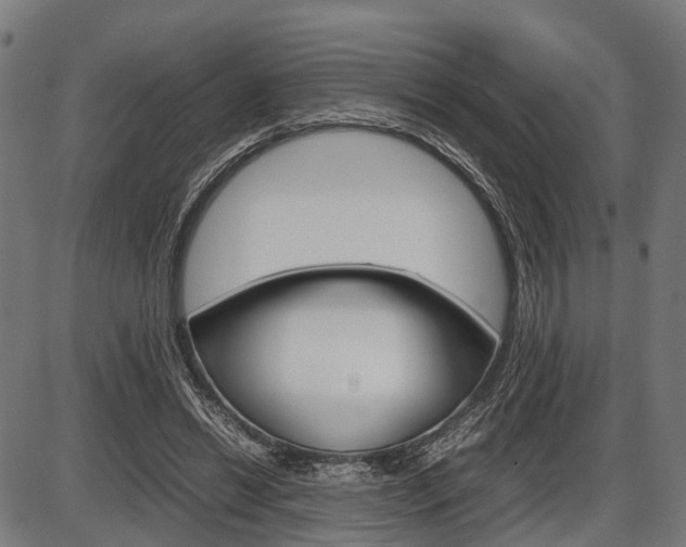 X0000087580446200704271049