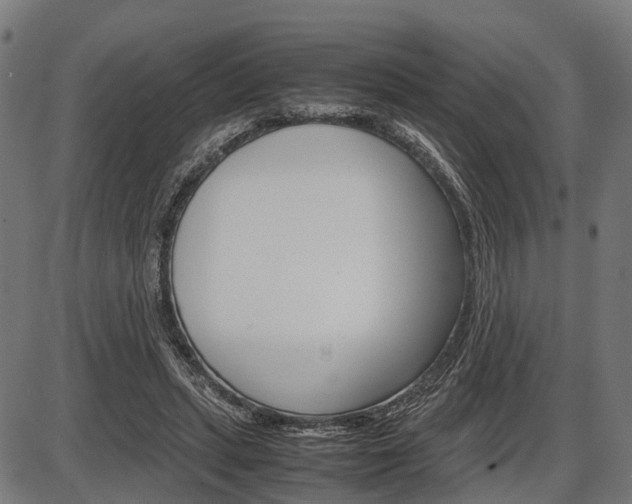 X0000087580447200704271049