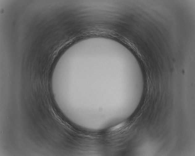 X0000087580450200704271049