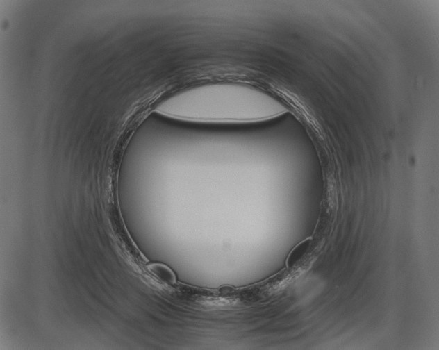X0000087580453200704271049