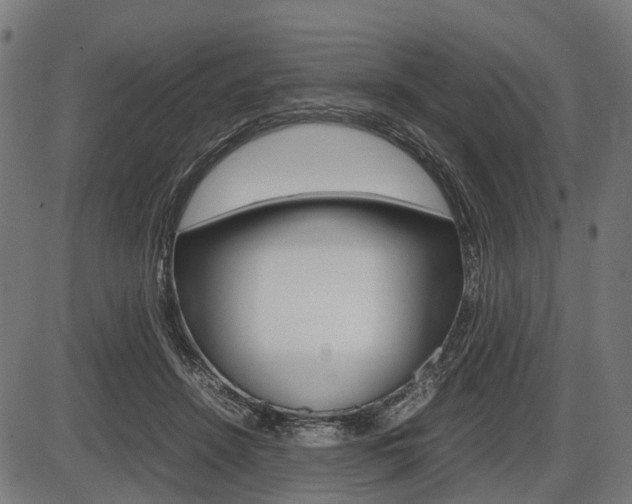 X0000087580456200704271049