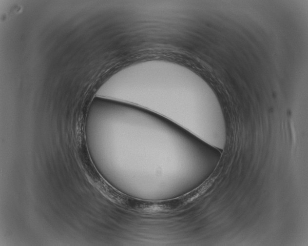 X0000087580460200704271049