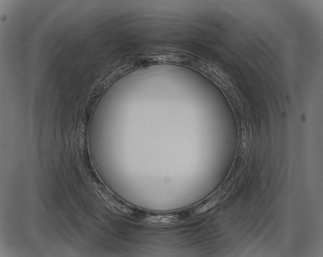 X0000087580461200704271049