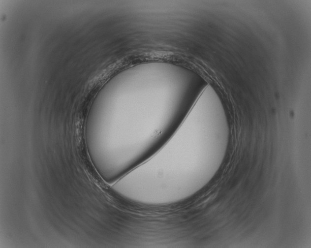 X0000087580462200704271049
