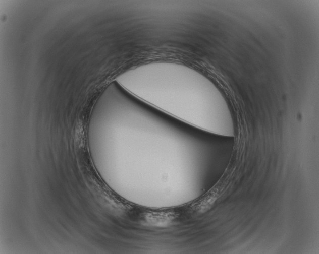 X0000087580465200704271049