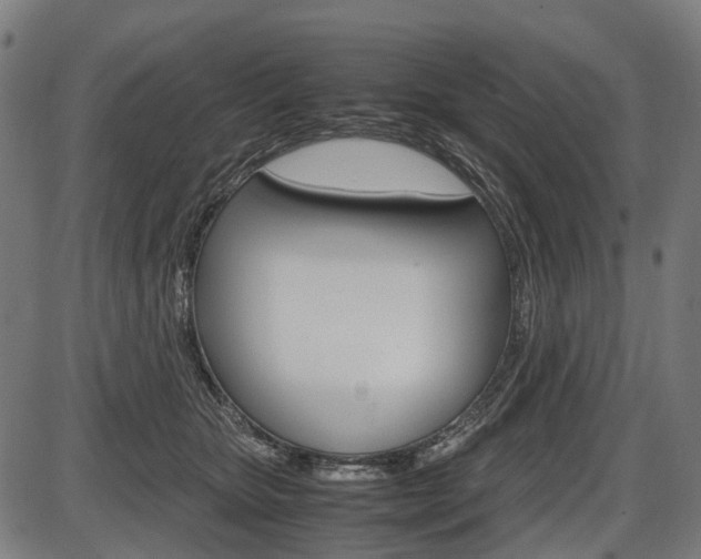 X0000087580467200704271049