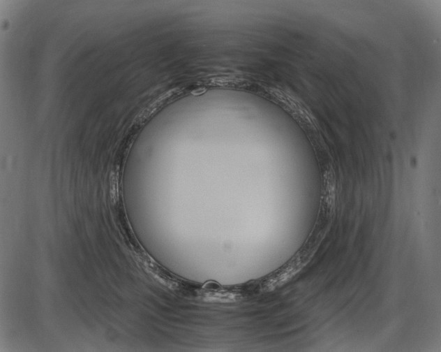 X0000087580471200704271049