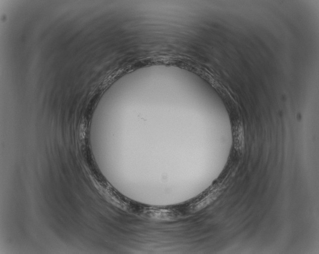X0000087580472200704271049