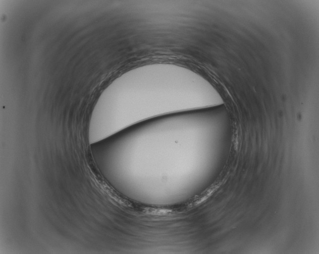 X0000087580476200704271050