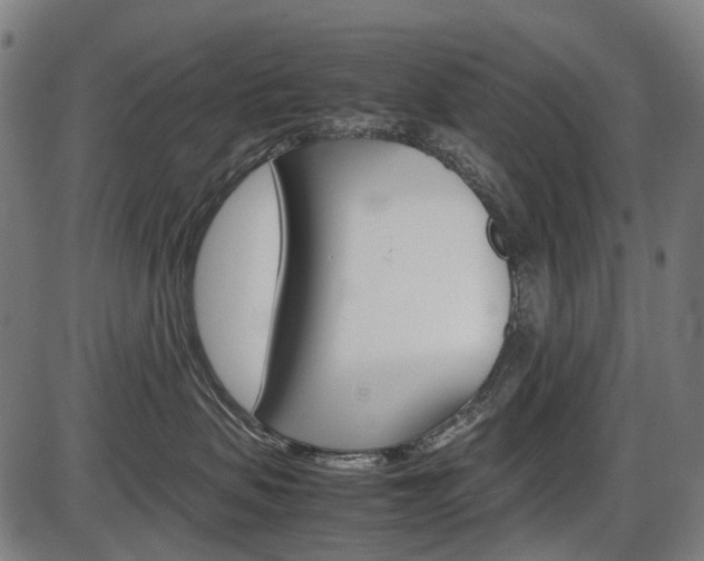 X0000087580479200704271050