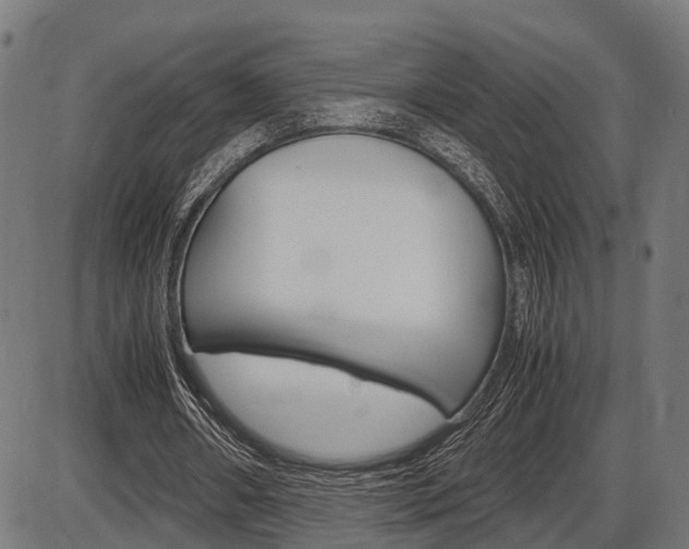 X0000087580482200704271049