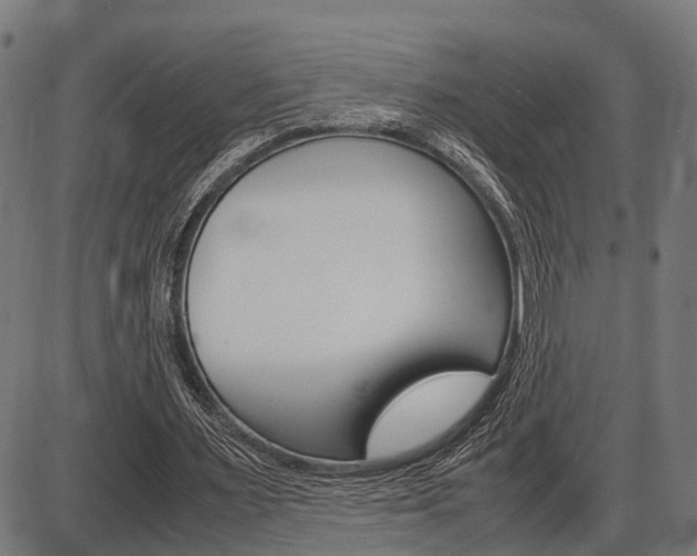 X0000087580483200704271049