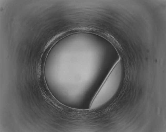 X0000087580484200704271049