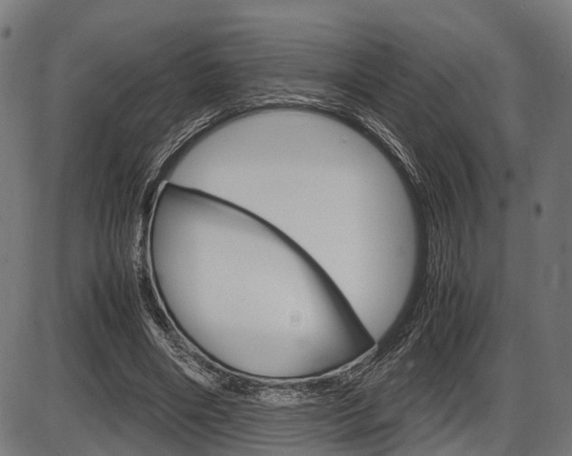 X0000087580490200704271049