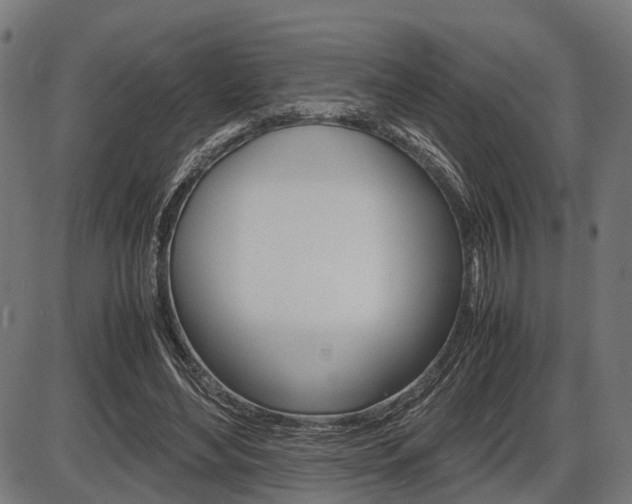 X0000087580492200704271049
