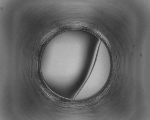 X0000087580493200704271049