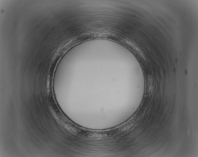 X0000087580494200704271049