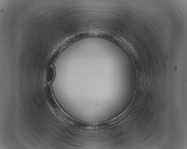 X0000087580496200704271049