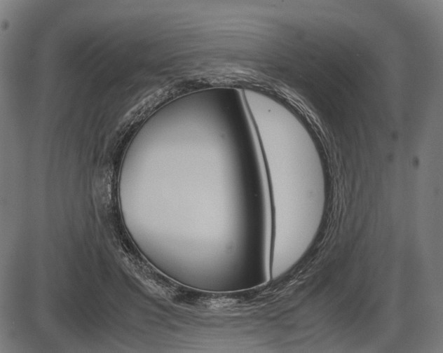 X0000087580501200704271048