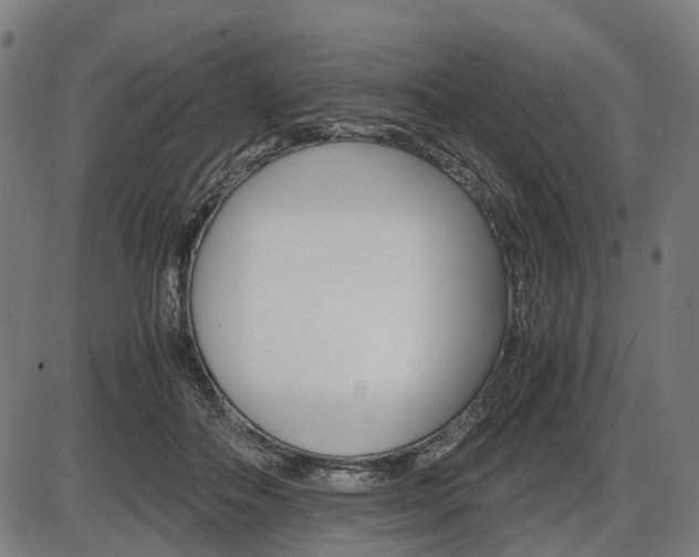 X0000087580506200704271048