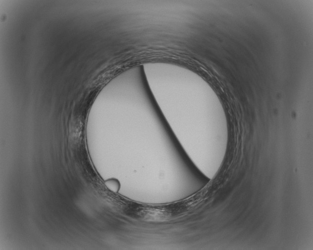 X0000087580507200704271048