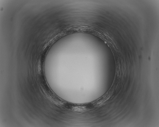 X0000087580508200704271048