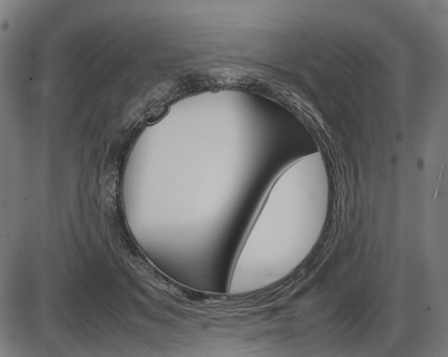 X0000087580509200704271048