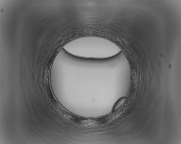 X0000087580511200704271048