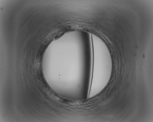 X0000087580513200704271048