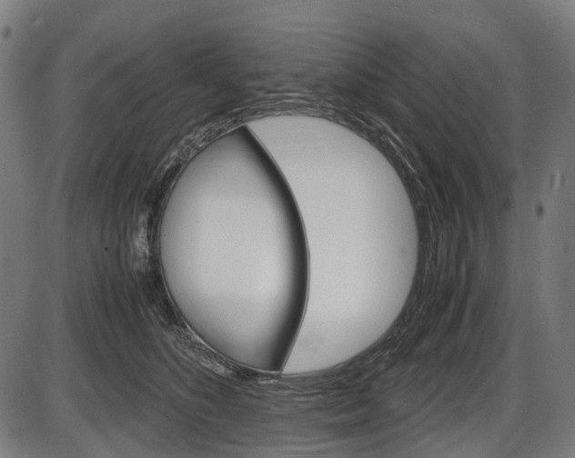 X0000087580516200704271048